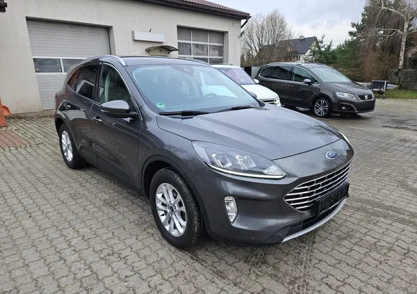 ford kujawsko-pomorskie Ford Kuga cena 116900 przebieg: 80000, rok produkcji 2020 z Rybnik